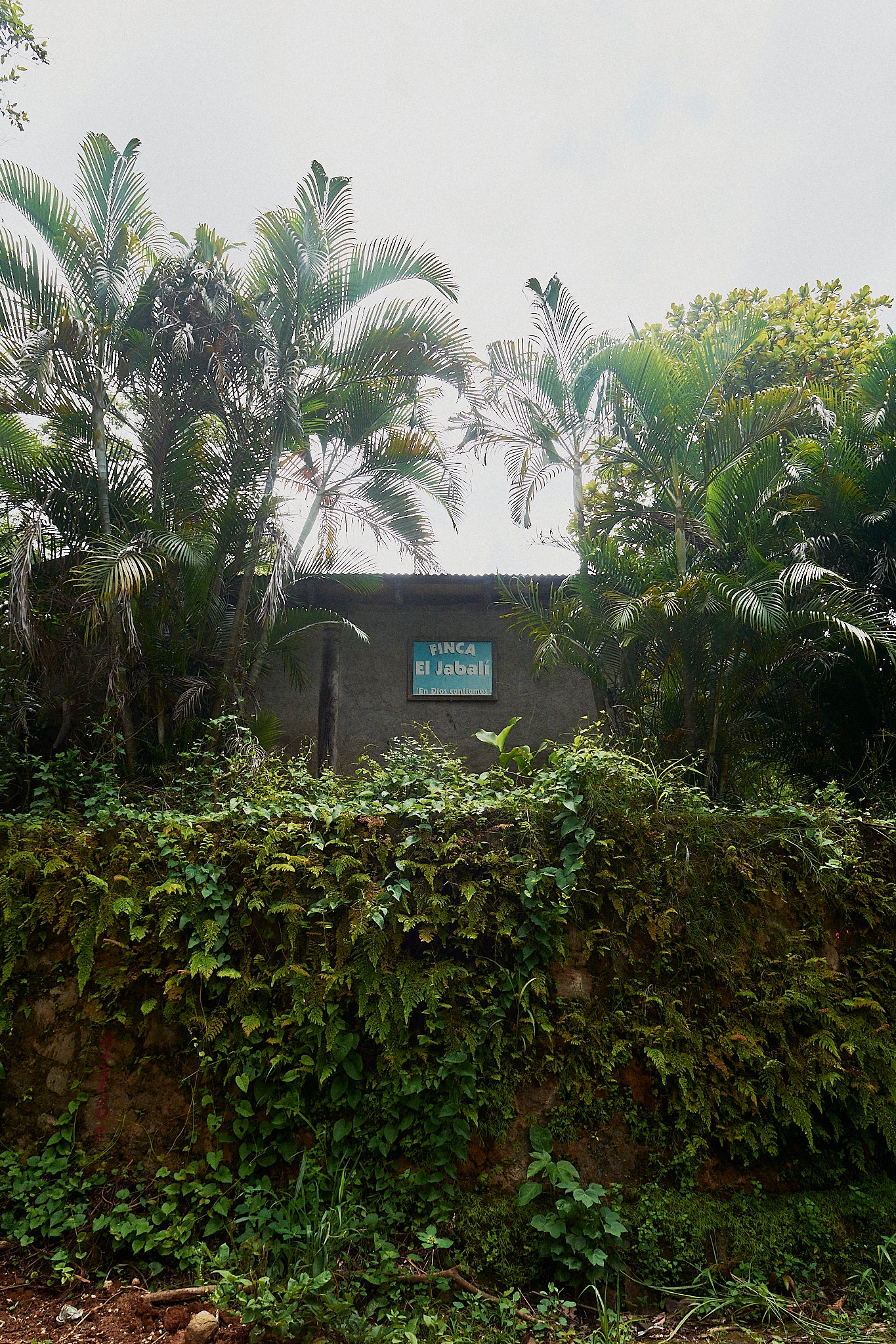 Finca El Jabalí