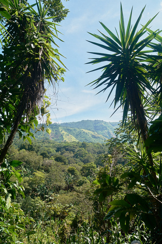 Finca El Jabalí