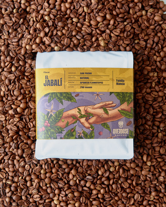 Finca El Jabalí